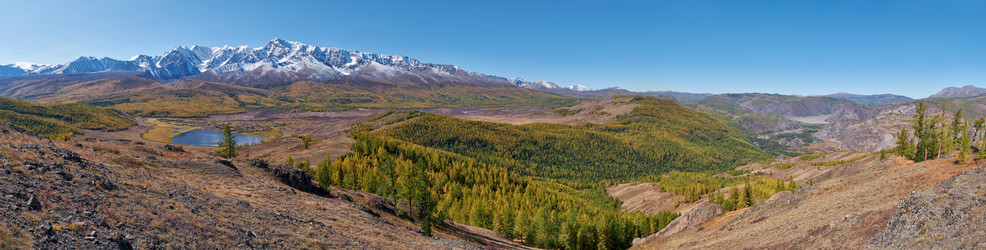 Similar image 20972673