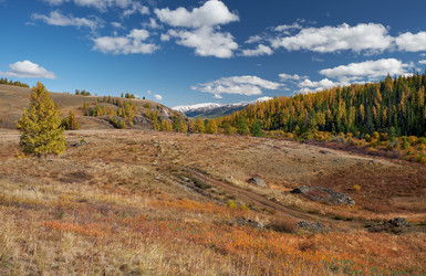 Similar image 20972683