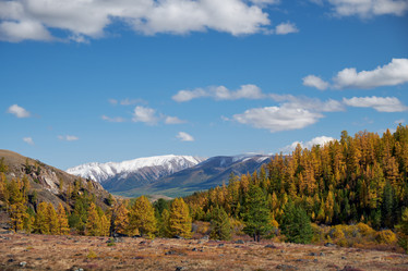 Similar image 20972684