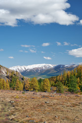 Similar image 20972685