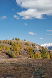 Similar image 20972687