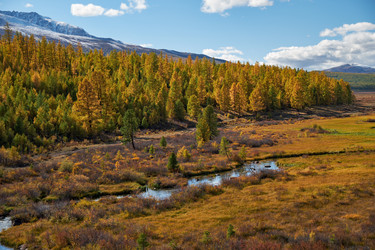 Similar image 20972688