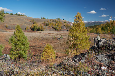 Similar image 20972793