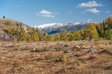 Similar image 20972795