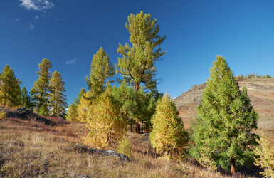 Similar image 20972796