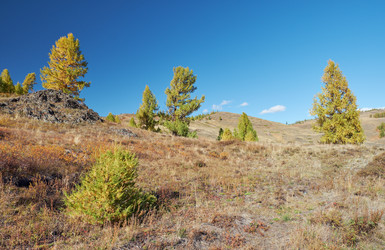 Similar image 20972797