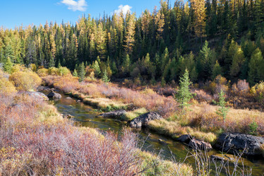 Similar image 20972801