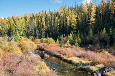 Similar image 20972803