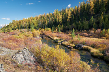 Similar image 20972804