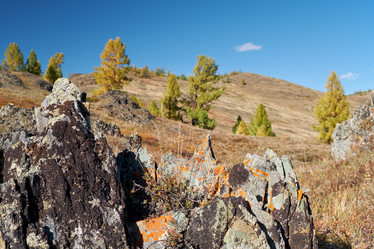 Similar image 20972806