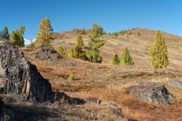 Similar image 20972807