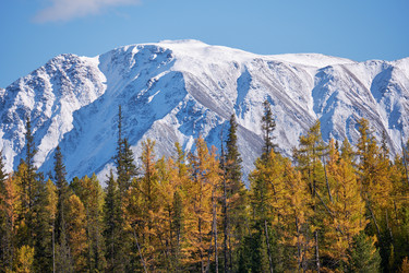 Similar image 20975676