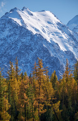 Similar image 20975678