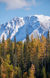 Similar image 20975679