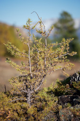 Similar image 20975714