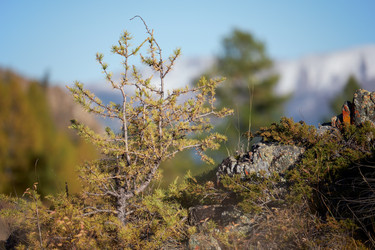 Similar image 20975715