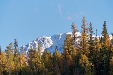 Similar image 20975716