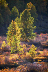 Similar image 20975718