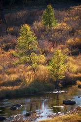 Similar image 20975766