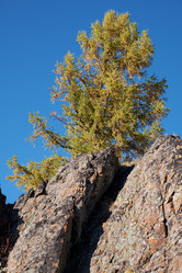 Similar image 20975768