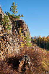 Similar image 20975769