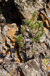 Similar image 20975770