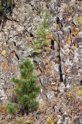 Similar image 20975772