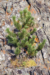 Similar image 20975773