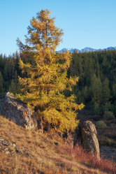 Similar image 20975776