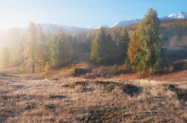 Similar image 20975785