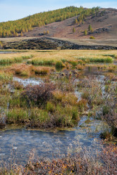 Similar image 20975926