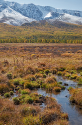 Similar image 20976014