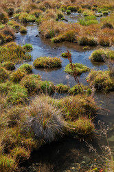 Similar image 20976015