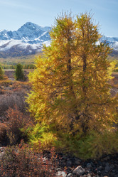 Similar image 20976017