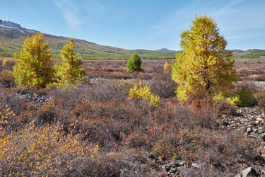 Similar image 20976018