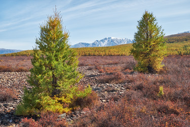 Similar image 20976019