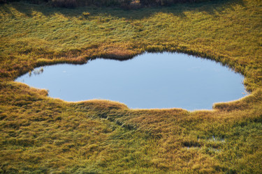 Similar image 20976026