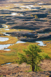 Similar image 20976027