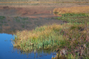 Similar image 20976033