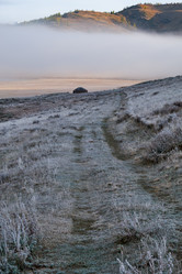 Similar image 20976702