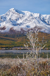 Similar image 20976784