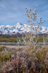 Similar image 20976786