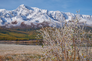 Similar image 20976793