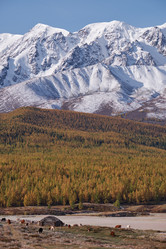 Similar image 20976826