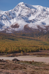 Similar image 20976827