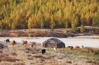 Similar image 20976828