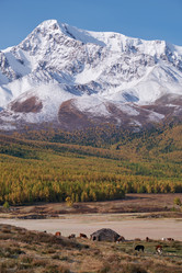 Similar image 20976830