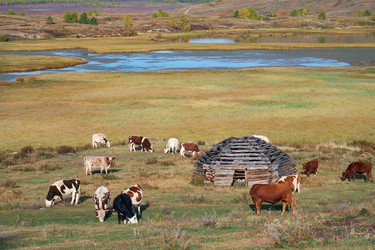 Similar image 20976849