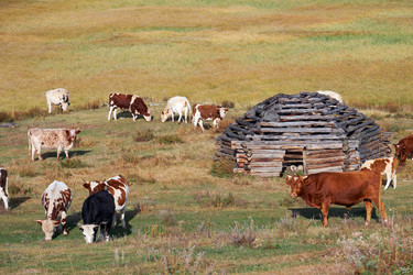 Similar image 20976850