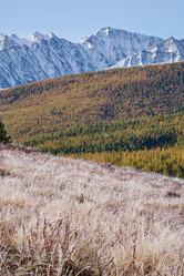 Similar image 20972455